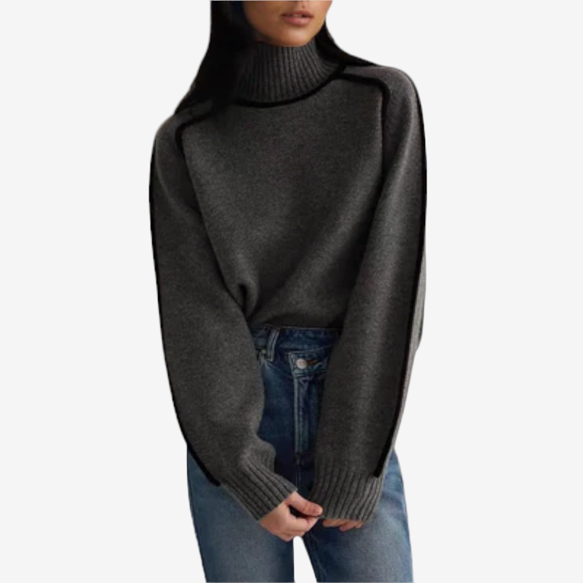 Pull à col roulé Emilie™