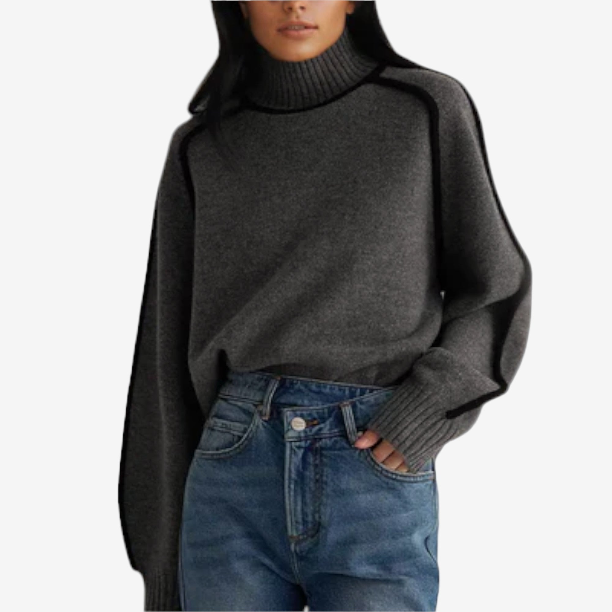 Pull à col roulé Emilie™