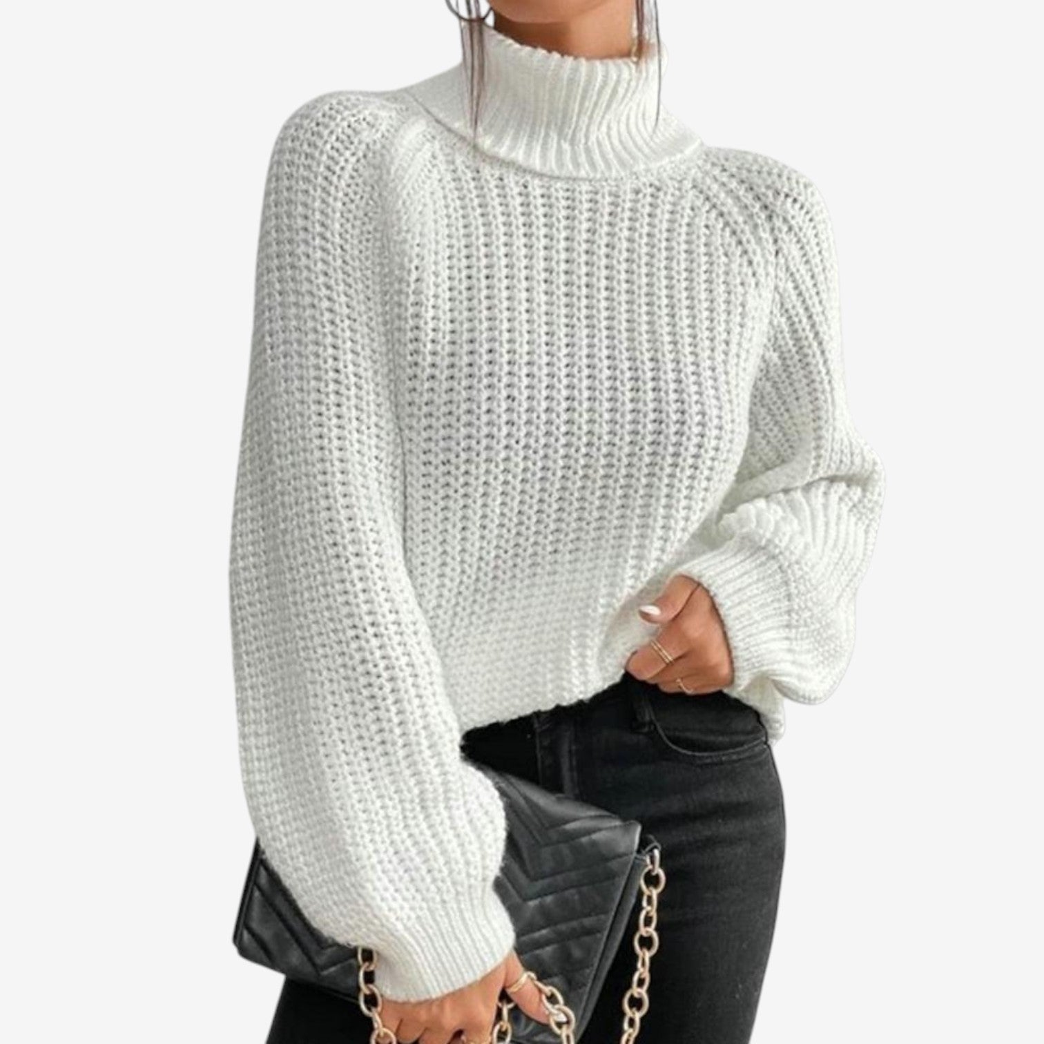 Pull Col Roulé Monteiro™